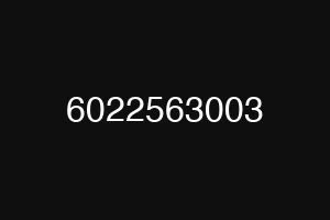 6022563003