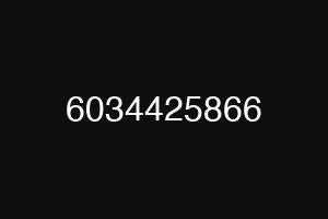 6034425866