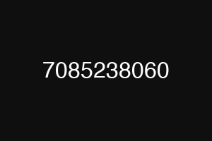 7085238060