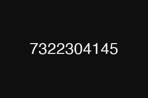 7322304145