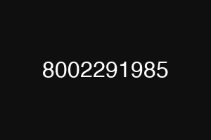8002291985