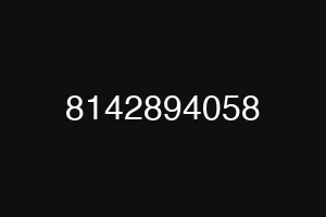 8142894058