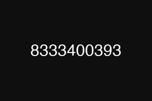 8333400393