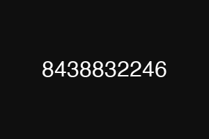 8438832246