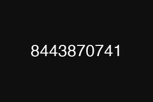 8443870741
