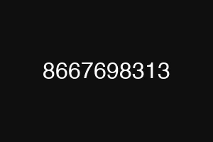 8667698313