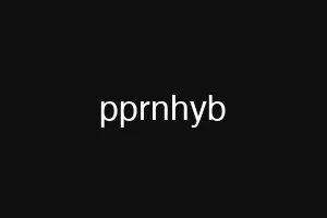 pprnhyb