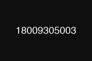18009305003