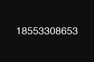 18553308653