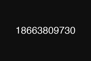 18663809730