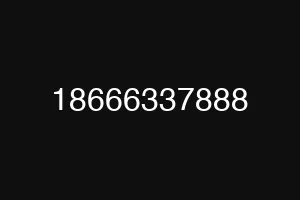 18666337888