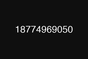 18774969050