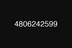 4806242599