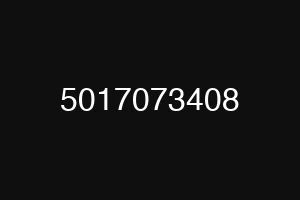 5017073408