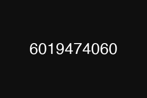6019474060