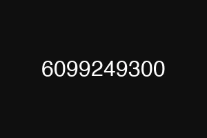 6099249300