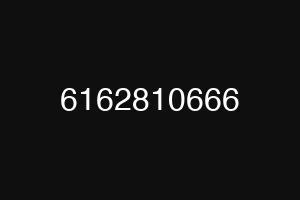 6162810666