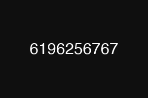 6196256767