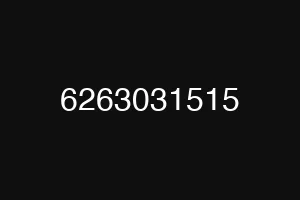 6263031515