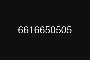6616650505