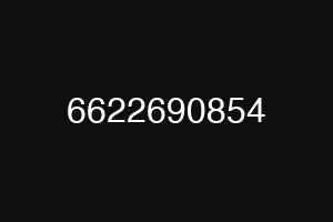 6622690854