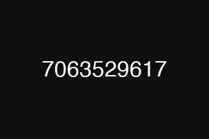 7063529617