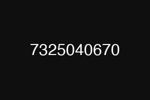 7325040670