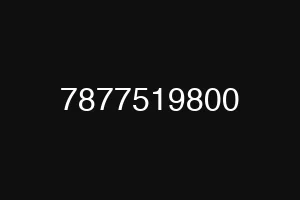 7877519800
