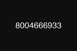 8004666933