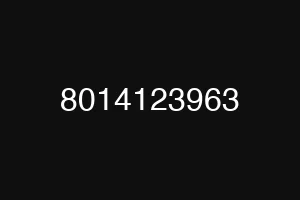 8014123963