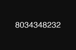 8034348232