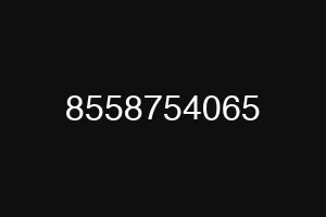 8558754065