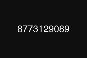8773129089