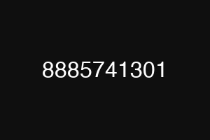 8885741301