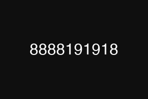 8888191918