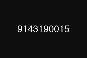 9143190015