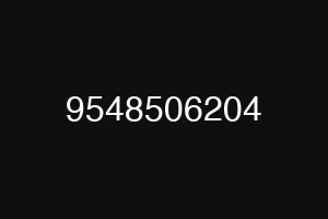 9548506204